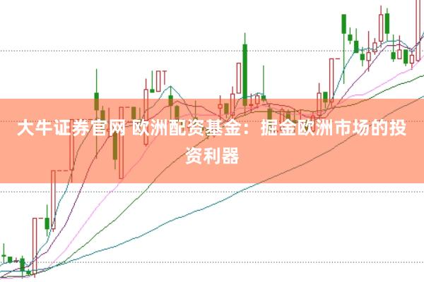 大牛证券官网 欧洲配资基金：掘金欧洲市场的投资利器