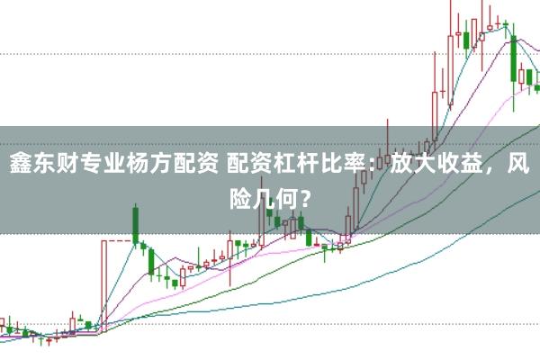 鑫东财专业杨方配资 配资杠杆比率：放大收益，风险几何？