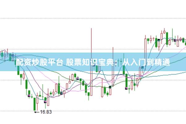 配资炒股平台 股票知识宝典：从入门到精通