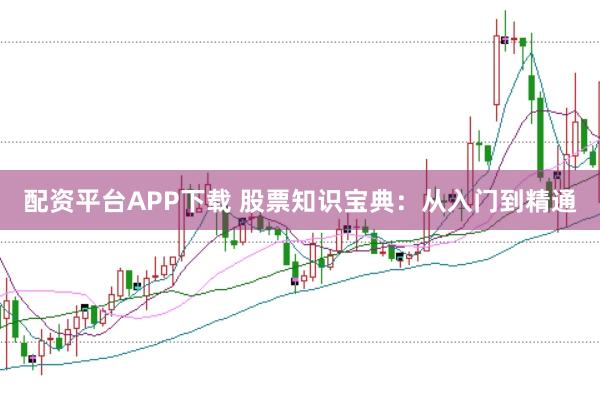 配资平台APP下载 股票知识宝典:从入门到精通