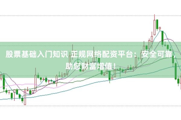 股票基础入门知识 正规网络配资平台:安全可靠,助您财富增值!